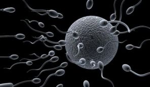 No more poor swimmers: motorised robotic sperms take on infertility 