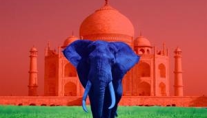 Former BSP MLA's daughter thrashes school students in Meerut