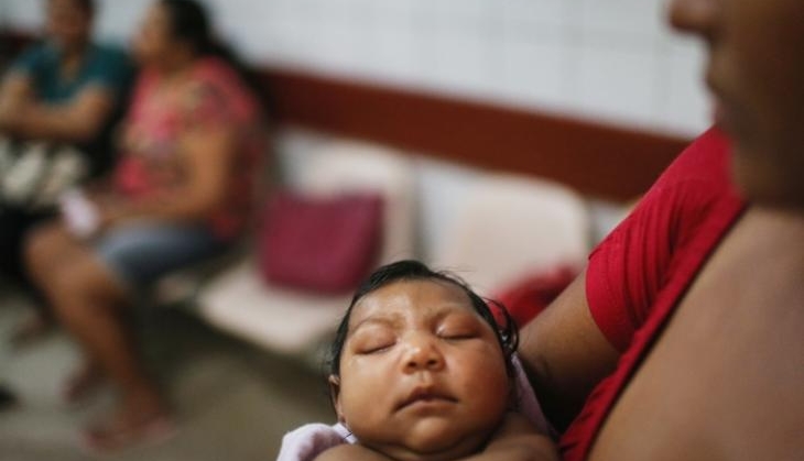 zika virus