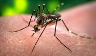 120 people tested positive for Zika in Rajasthan