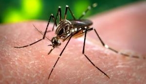 120 people tested positive for Zika in Rajasthan