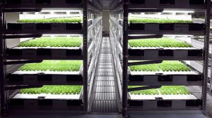 Germinator: Rise of the robotic farmers 