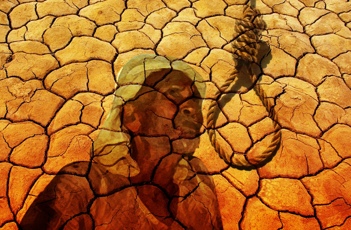 Maharashtra: Farmer makes suicide bid at event attended by ministers