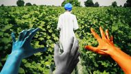 Battle Field Punjab: how the state's farmers are suddenly being wooed  