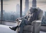 Kabali: Has the Rajinikanth, Radhika Apte film been postponed to May 2016? 