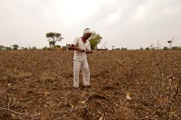 Marathwada farmers unhappy with Jaitley's 'rural centric' budget  