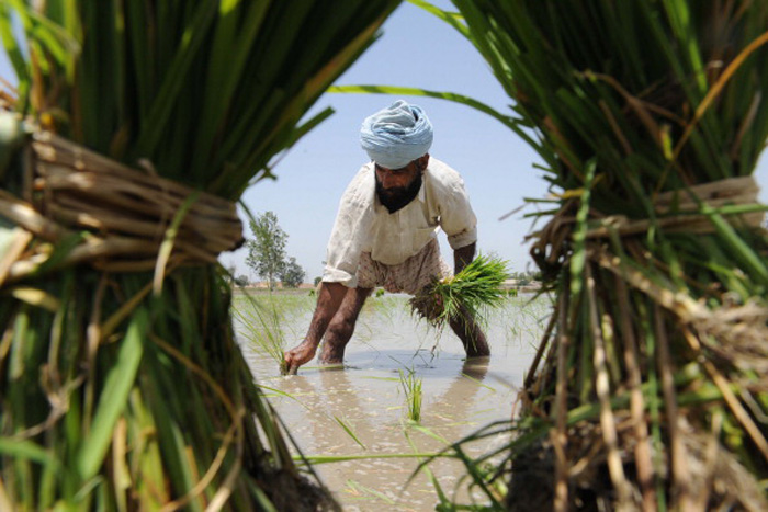 Amarinder knocks on Modi's door: will farm loan waiver end Punjab agrarian crisis?