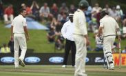 'Who the f*** is the 3rd umpire?' Josh Hazlewood courts controversy after angry confrontation 