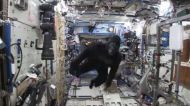 Apes in space: Watch astronauts Scott Kelly & Tim Peake's monkey around in the ISS 