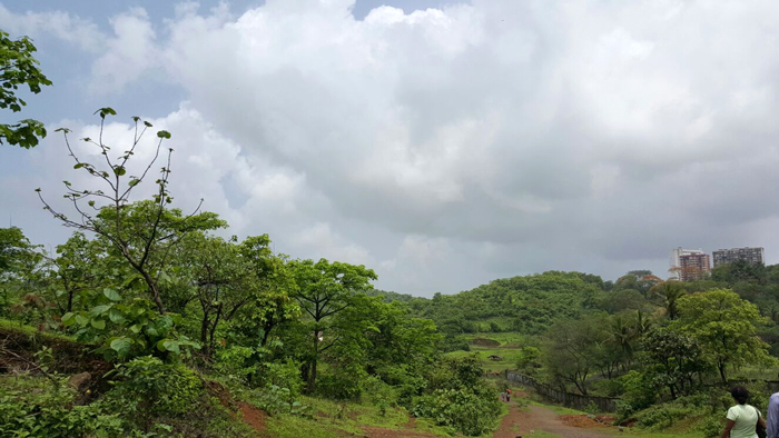 Mumbai's lungs under threat: govt insists on metro car shed at Aarey Colony 