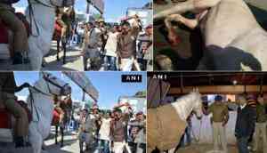 Didn't break leg of police horse, videos merged to malign me: BJP MLA Ganesh Joshi 