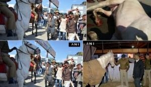 Didn't break leg of police horse, videos merged to malign me: BJP MLA Ganesh Joshi 