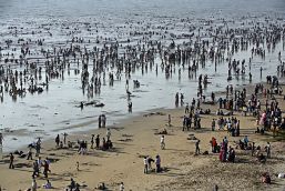 Four extensions later, India coastal management plan still in tatters 
