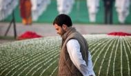 Rahul Gandhi: I am no longer Congress president, CWC should quickly decide on successor
