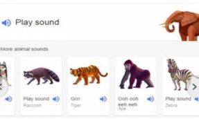 Woof woof! Google goes the animal farm way 