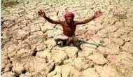 Farmers suffer as Bihar faces drought-like situation