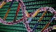 Need to store 455 billion gigs of data? All it takes is a gram of DNA 