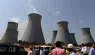 Concern over green nod to UP power plant
