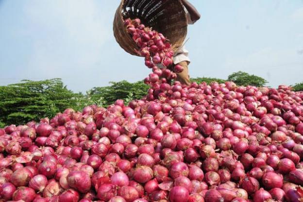 Bizarre! This UP mobile store offers 1 kg onion on purchase of smartphone