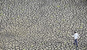Drought avoidance: No new sugar mills in Marathwada for next five years 