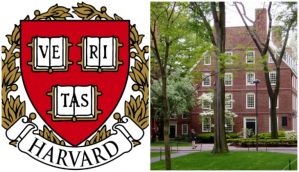 Indian investment analyst appointed endowment chief at Harvard University 