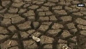 Woman dies while waiting in queue for water in drought-hit Latur 