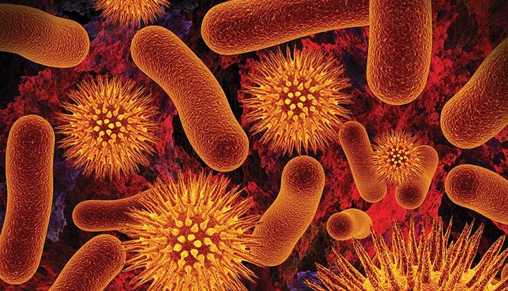 Antibiotic