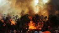 Nainital: Forest fire destroys 50 slums, kills 2 
