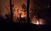 Uttarakhand: 500 firemen deployed to douse raging forest fire in the state 