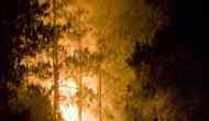 Under pressure over forest fires, Uttarakhand gives in to blackmail by striking forest guards 