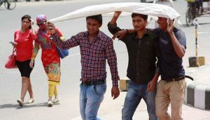 2016 set to be hottest year ever: UN 