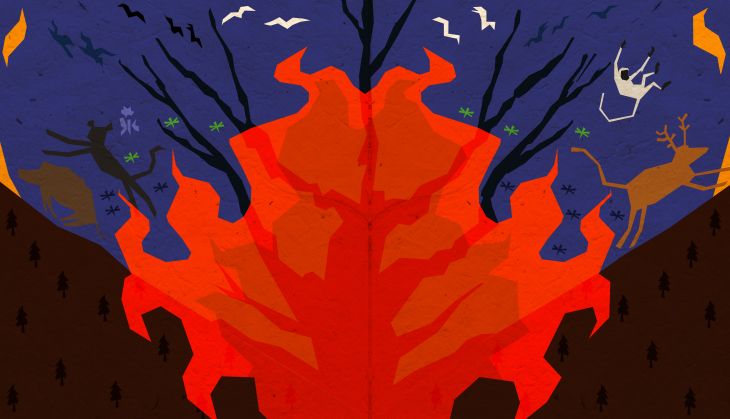 Uttarakhand forest fire: five biggest impacts on t