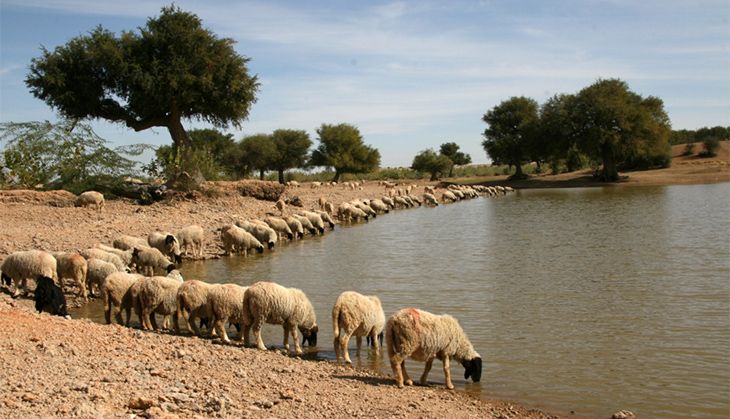 jaisalmer water conservation