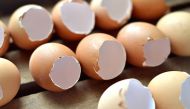Why women's eggs run out and what can be done about it 