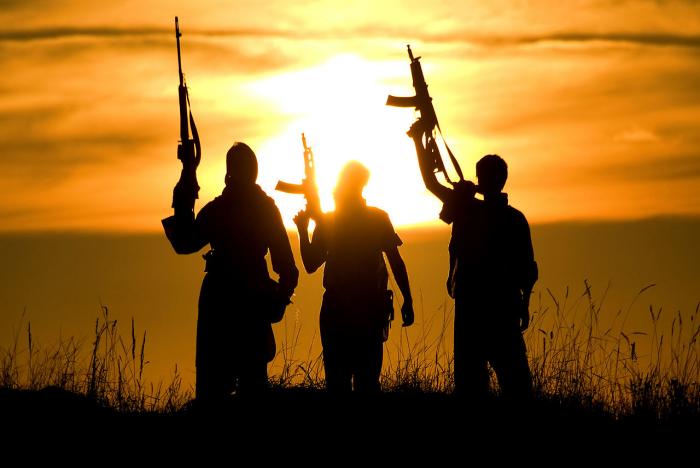 Radical groups like Al-Qaeda using COVID-19 pandemic to push hate-filled agenda