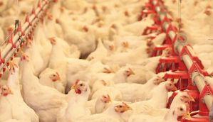 Bird Flu: Bangladesh  Government confirms two outbreaks of H5N1 bird flu virus in poultry 