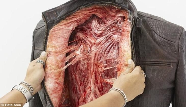 Leather jacket/ PETA