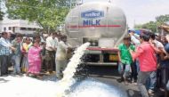 Why was 14,000 litres of milk spilt on Odisha roads? 