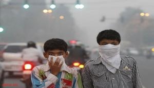 Over 1.2 million early deaths in India due to air pollution: Report