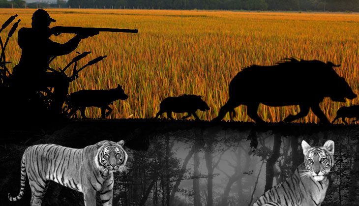 Shocking! Maharashtra forest department culls 300