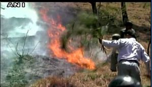 Fresh forest fires break out in Uttarakhand amid heat wave 