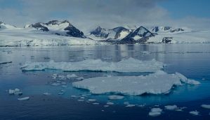 Antarctic: melting glacier portends apocalypse within 100 years 