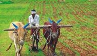 Andhra govt announces MSP for various agricultural products