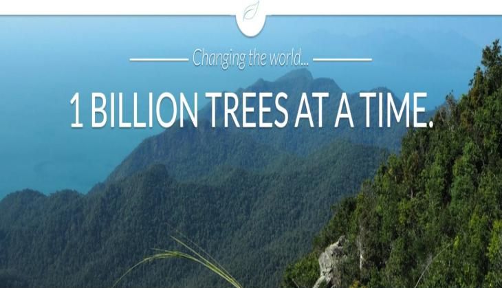 Drone tree plantation biocarbon2.jpg