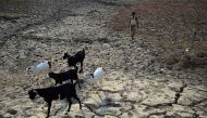 Sorry state of affairs: every farming household in India owes Rs 50,000 