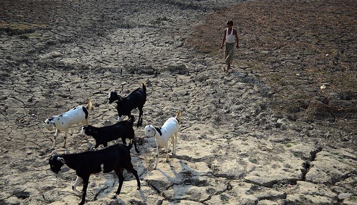 Sorry state of agriculture