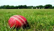 Vigilance of cow protection cells leads to double the price of cricket balls 