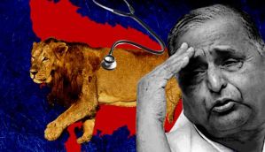 Even a havan and a British doc have failed to save Etawah's lions 