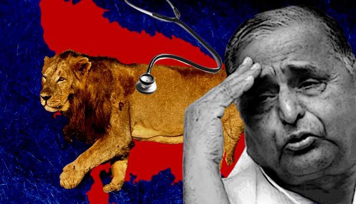 Even a havan and a British doc have failed to save