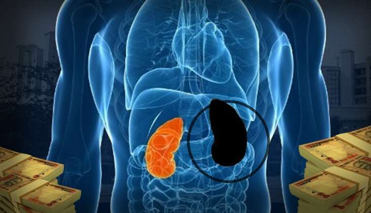 organdonationracket-lead.jpg